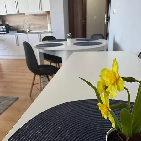 2-6 Royal Park Daire Bansko